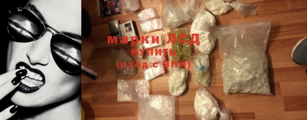 прущие грибы Балабаново