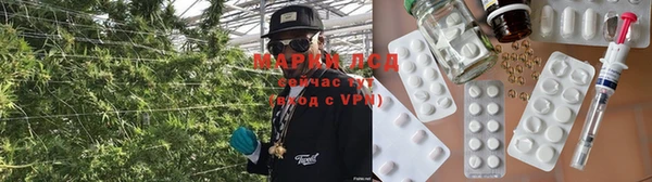прущие грибы Балабаново