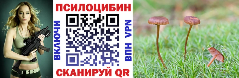 Псилоцибиновые грибы GOLDEN TEACHER  Рассказово 